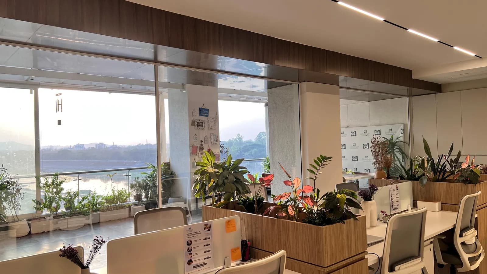 The open workspace at Mindsight Clinic, Boat Club Road, Pune, with planters, desks and windows onto the river